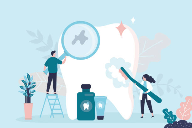 Professional Holistic Dental Care Services in Terry, MS
